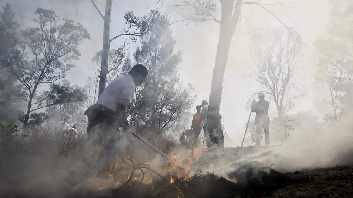 0807 INCENDIOS_AJO (1)